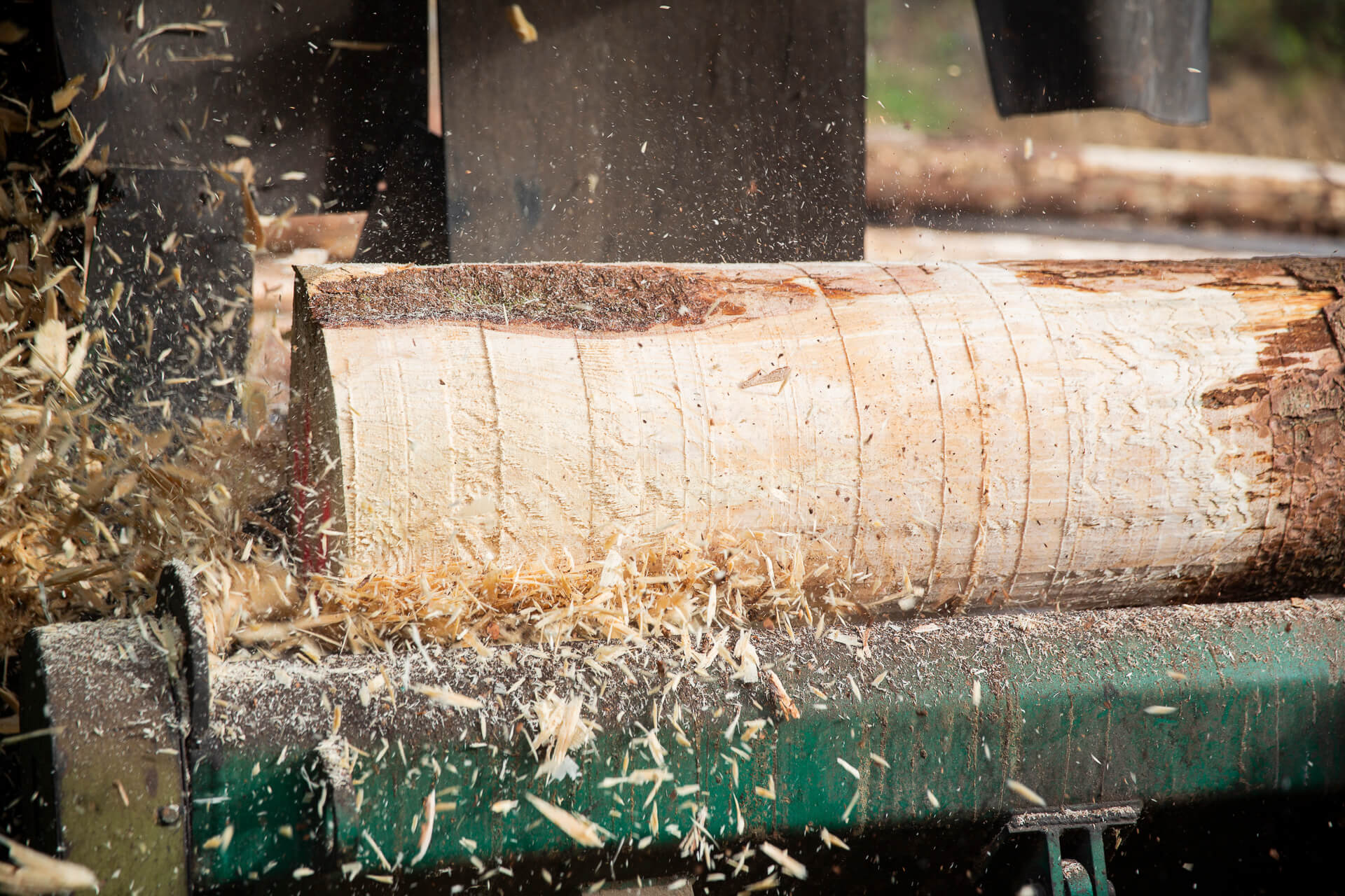 Holzverarbeitung an einer industriellen Sägeanlage